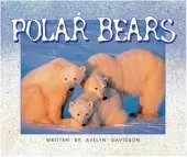 Polar Bears Level 8