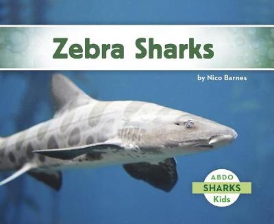 Zebra Sharks