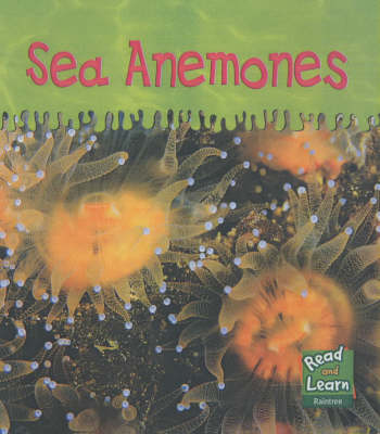 Read and Learn: Ooey-Gooey Animals - Sea Anemones