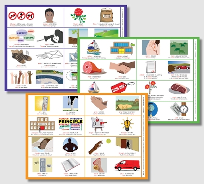 The Spell Write Right Programme: Posters - Set of 16: Understanding Confusing Pairs of Words and Improving Spelling for Everyone
