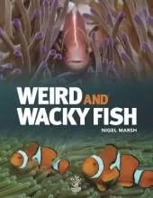 Weird & Whacky Fish