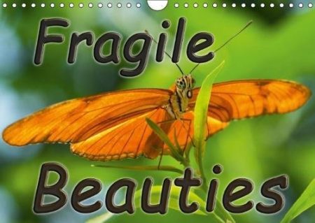 Fragile Beauties - Exotic Butterflies 2018: Spellbinding Photos of Various Exotic Butterflies in Their Natural Habitat.