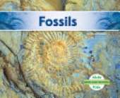 Fossils