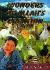 Wonders of Allah's Creation
