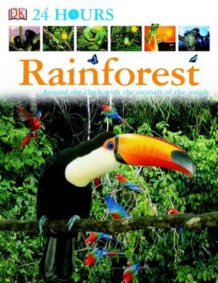 Rainforest