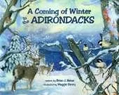 A Coming Of Winter In The Adirondacks