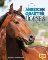 Horse Breeds American Quarter Horses