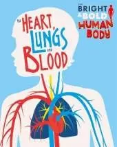 The Bright and Bold Human Body: The Heart, Lungs, and Blood