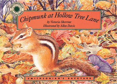 Chipmunk at Hollow Tree Lane