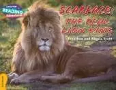 Cambridge Reading Adventures Scarface: The Real Lion King Gold Band