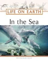 In the Sea