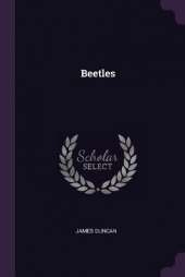 Beetles