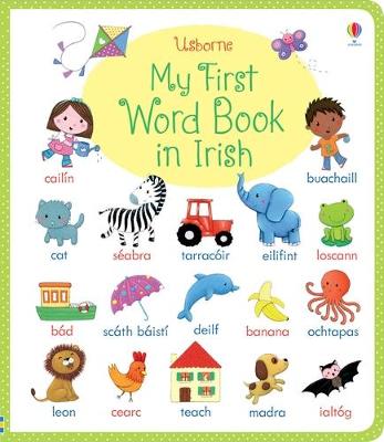 My First Irish Word Book