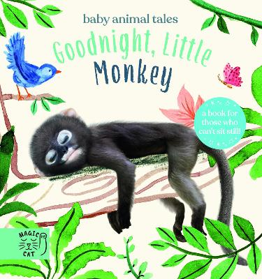 Goodnight, Little Monkey: A book for those who can’t sit still