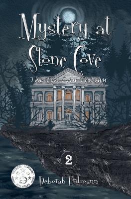 Mystery at Stone Cove