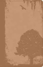 God Guy Bible