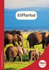Eliffantod
