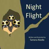 Night Flight