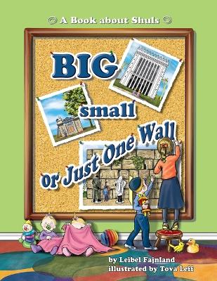 Big Small or Just One Wall: A Book about Shuls