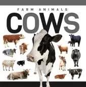 Cows