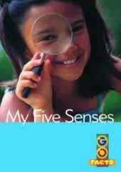 My Five Senses