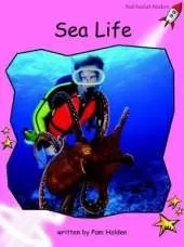 Red Rocket Readers: Pre-Reading Non-Fiction Set A: Sea Life (Reading Level 1/F&P Level A)