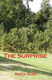 The Surprise