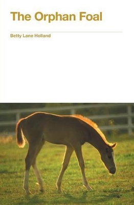 The Orphan Foal
