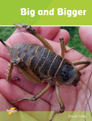 Big and Bigger: Set 1