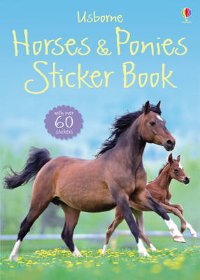 Spotter's Sticker Guides: Horses and Ponies