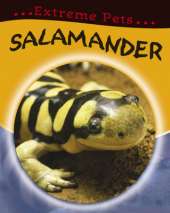 Extreme Pets: Salamander