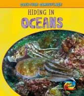 Hiding in Oceans