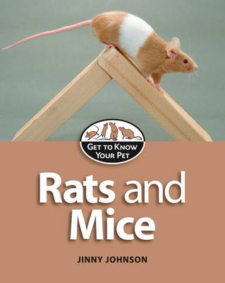 Get to Know Your Pet: Rats and Mice