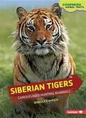 Siberian Tigers: Camouflaged Hunting Mammals
