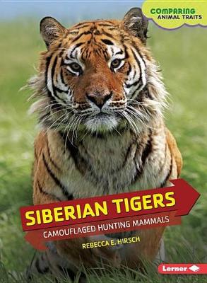 Siberian Tigers: Camouflaged Hunting Mammals