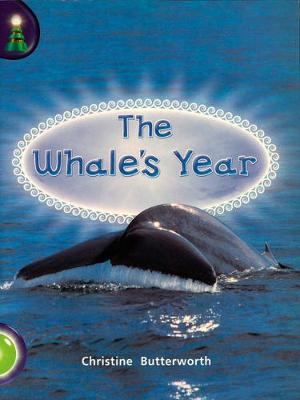 Lighthouse Year 1 Green: The Whale's Year