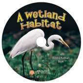 A Wetland Habitat