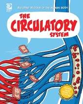 The Circulatory System