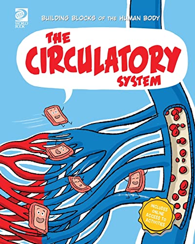 The Circulatory System