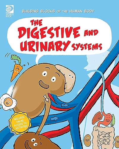 The Digestive and Urinary Systems