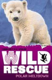 Polar Meltdown