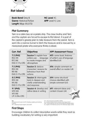 BC Grey B/3B Rat Island Guided Reading Card