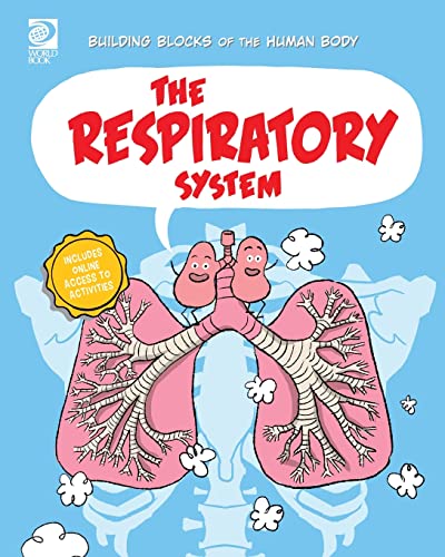 The Respiratory System