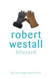 Blizzard