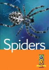 Spiders