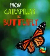 From Caterpillar to Butterfly