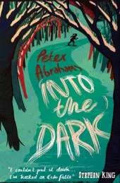 Into the Dark: An Echo Falls Mystery