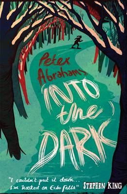 Into the Dark: An Echo Falls Mystery