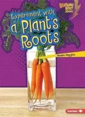 Experiment with a Plants Roots