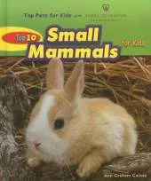 Top 10 Small Mammals for Kids